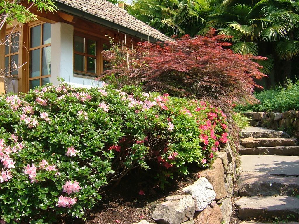 Villa Sissi Laives Ngoại thất bức ảnh