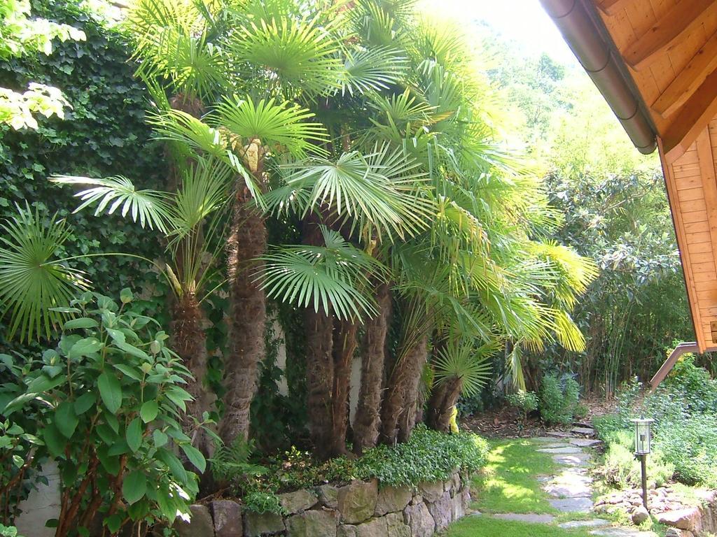Villa Sissi Laives Ngoại thất bức ảnh
